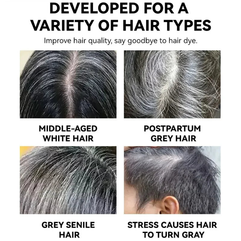 Temporary Hair Color Stick – Black & Brown Instant Cover for White Hair & Hairline