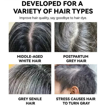 Temporary Hair Color Stick – Black & Brown Instant Cover for White Hair & Hairline
